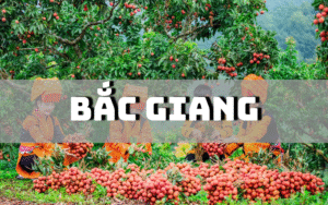 Bắc Giang có đặc sản gì? Gợi ý ngay 17 đặc sản Bắc Giang mua làm quà cực ý nghĩa