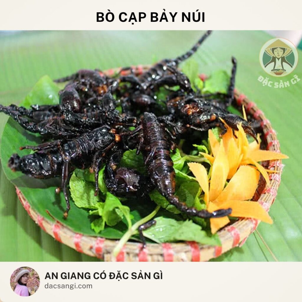 Đặc sản Bò cạp Bảy Núi