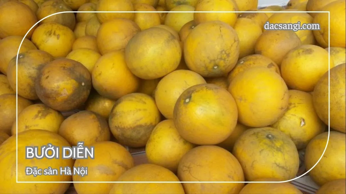 Hà Nội có đặc sản gì? Top 15 đặc sản Hà Nội mua làm quà ý nghĩa Đặc sản bưởi Diễn Hà Nội