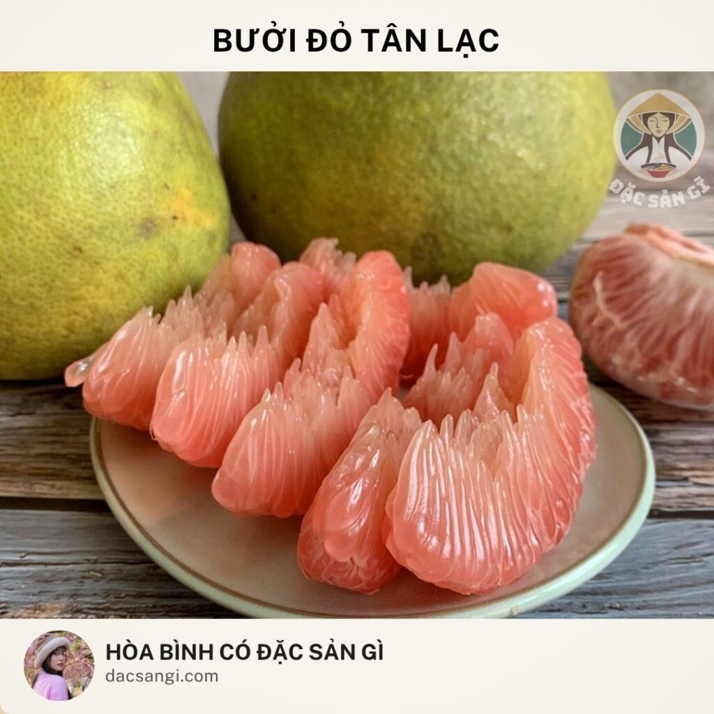 dac-san-buoi-do-tan-lac