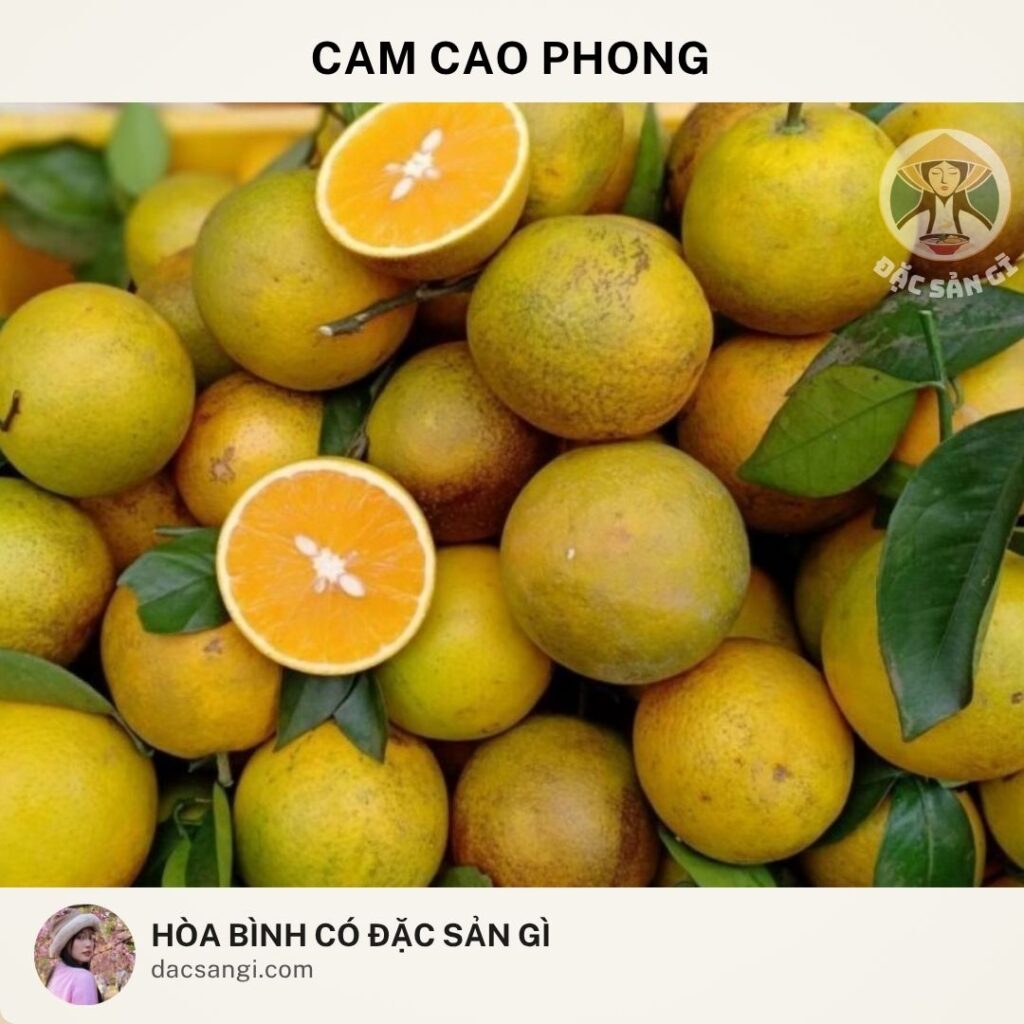 dac-san-cam-cao-phong