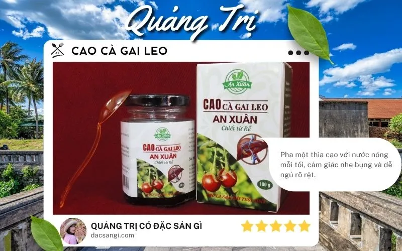 Quảng Trị có đặc sản gì? Gợi ý 18 đặc sản Quảng Trị nên thử và mua về làm quà Đặc sản Cao cà gai leo Quảng Trị