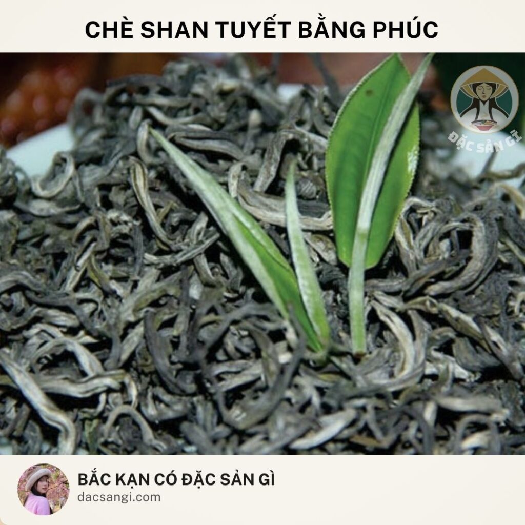 dac-san-che-shan-tuyet-bang-phuc