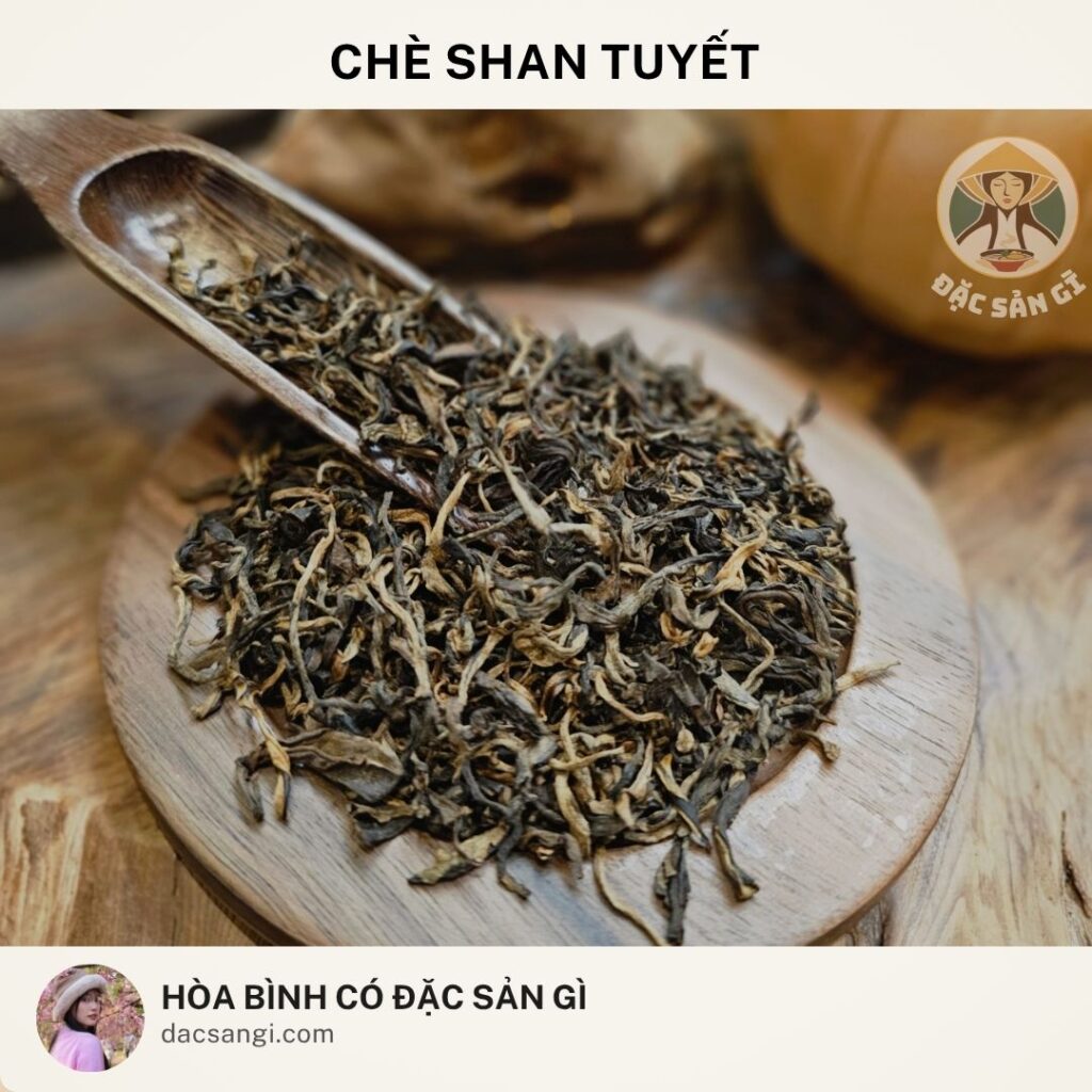 dac-san-che-shan-tuyet-hoa-binh