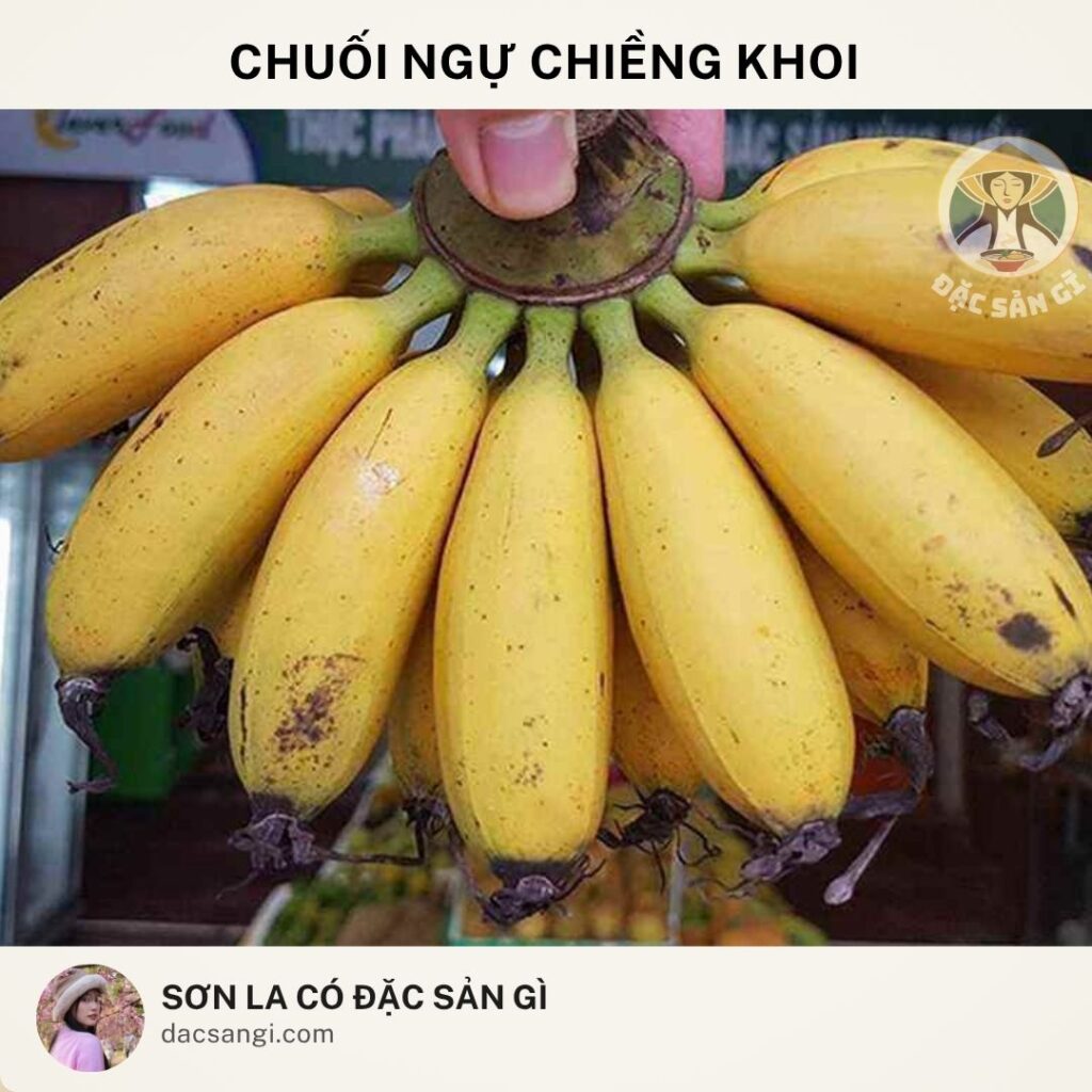 Sơn La có đặc sản gì? Top 23 đặc sản Sơn La ngon nức tiếng nên mua làm quà dac-san-chuoi-ngu-chieng-khoi