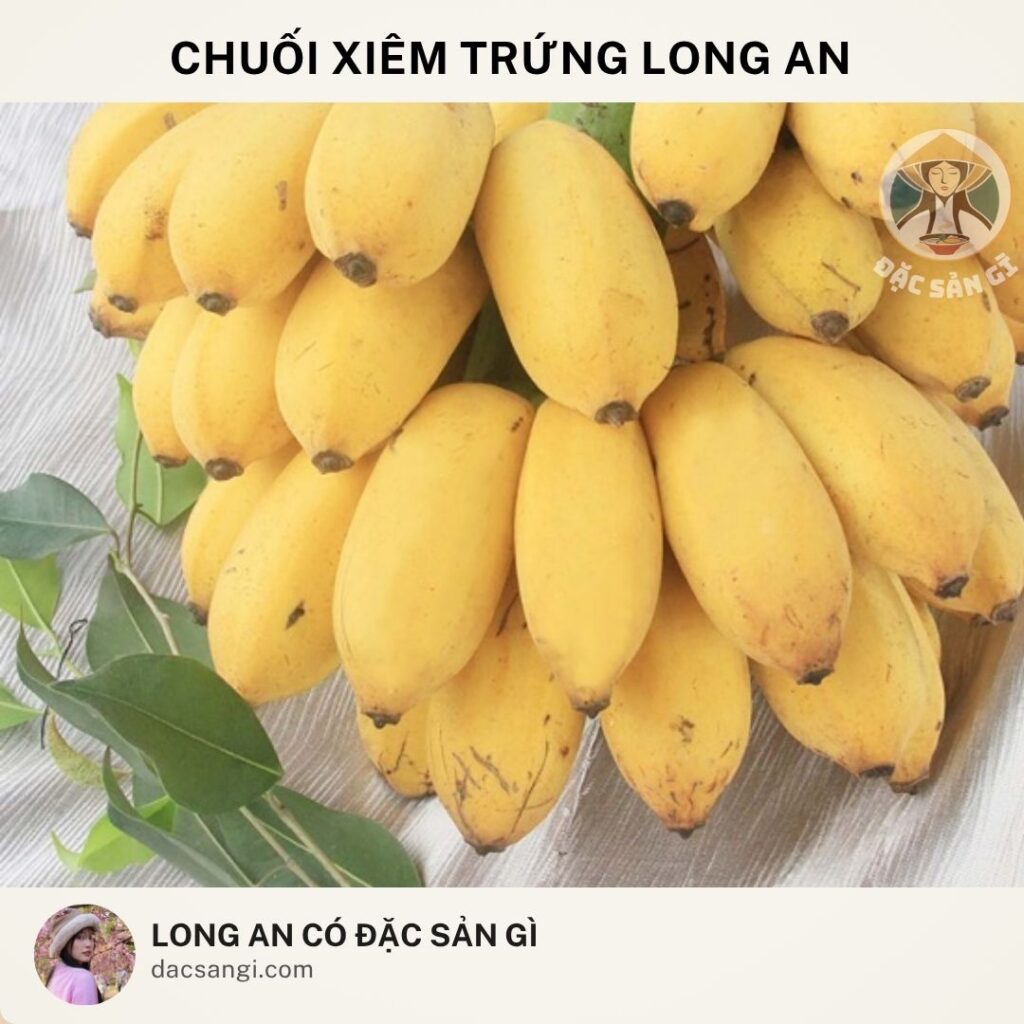 Long An có đặc sản gì? Review 19 đặc sản Long An ngon nức tiếng không thể bỏ qua dac-san-chuoi-xiem-trung-long-an
