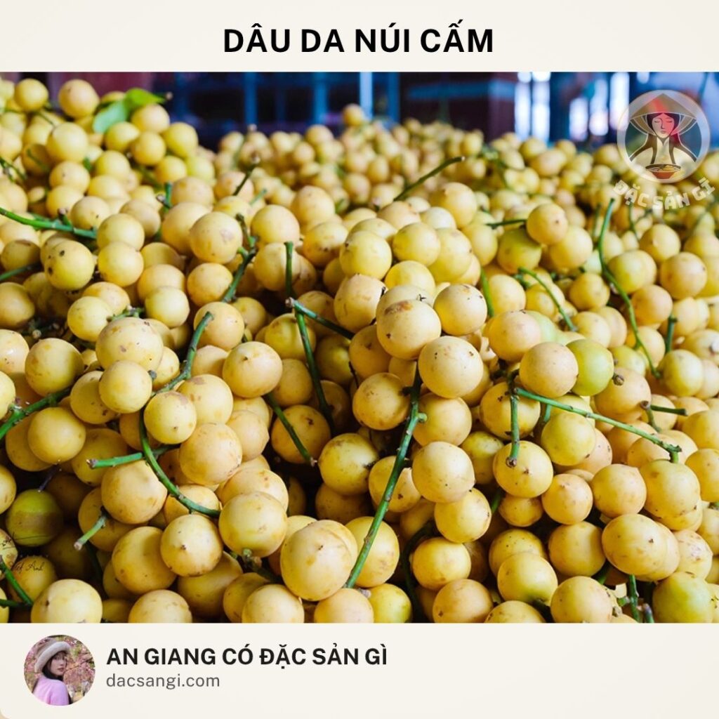 Đặc sản Dâu da Núi Cấm
