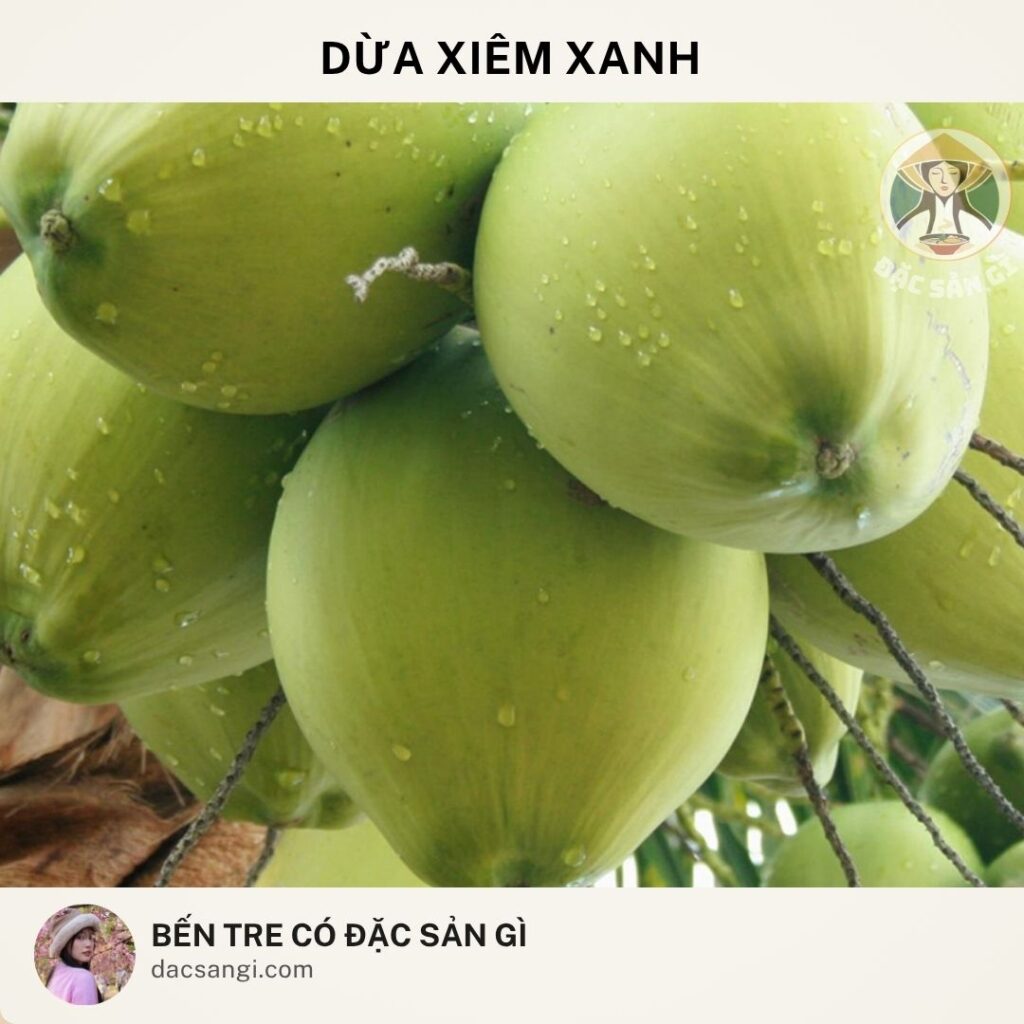 Đặc sản dừa xiêm xanh Bến Tre