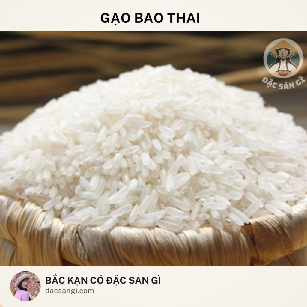 dac-san-gao-bao-thai-bac-kan