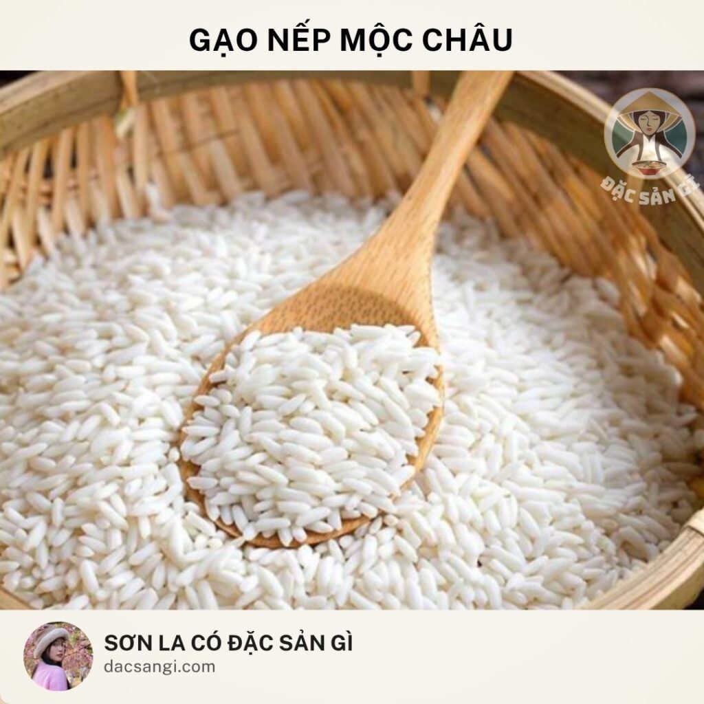 Sơn La có đặc sản gì? Top 23 đặc sản Sơn La ngon nức tiếng nên mua làm quà dac-san-gao-nep-moc-chau
