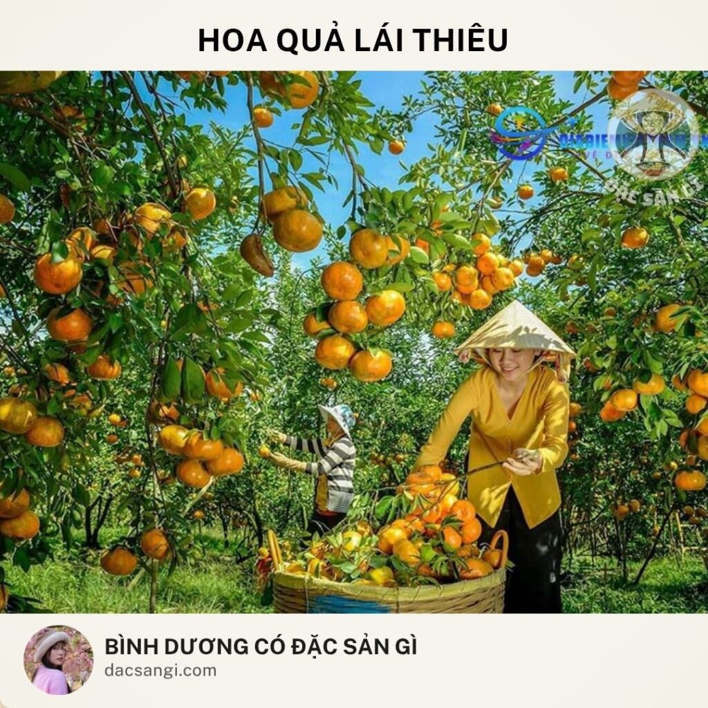 Đặc sản hoa quả Lái Thiêu