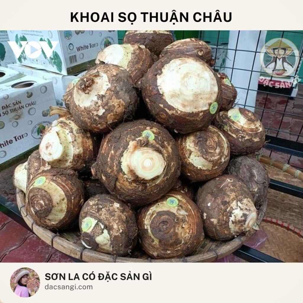 Sơn La có đặc sản gì? Top 23 đặc sản Sơn La ngon nức tiếng nên mua làm quà dac-san-khoai-so-thuan-chau
