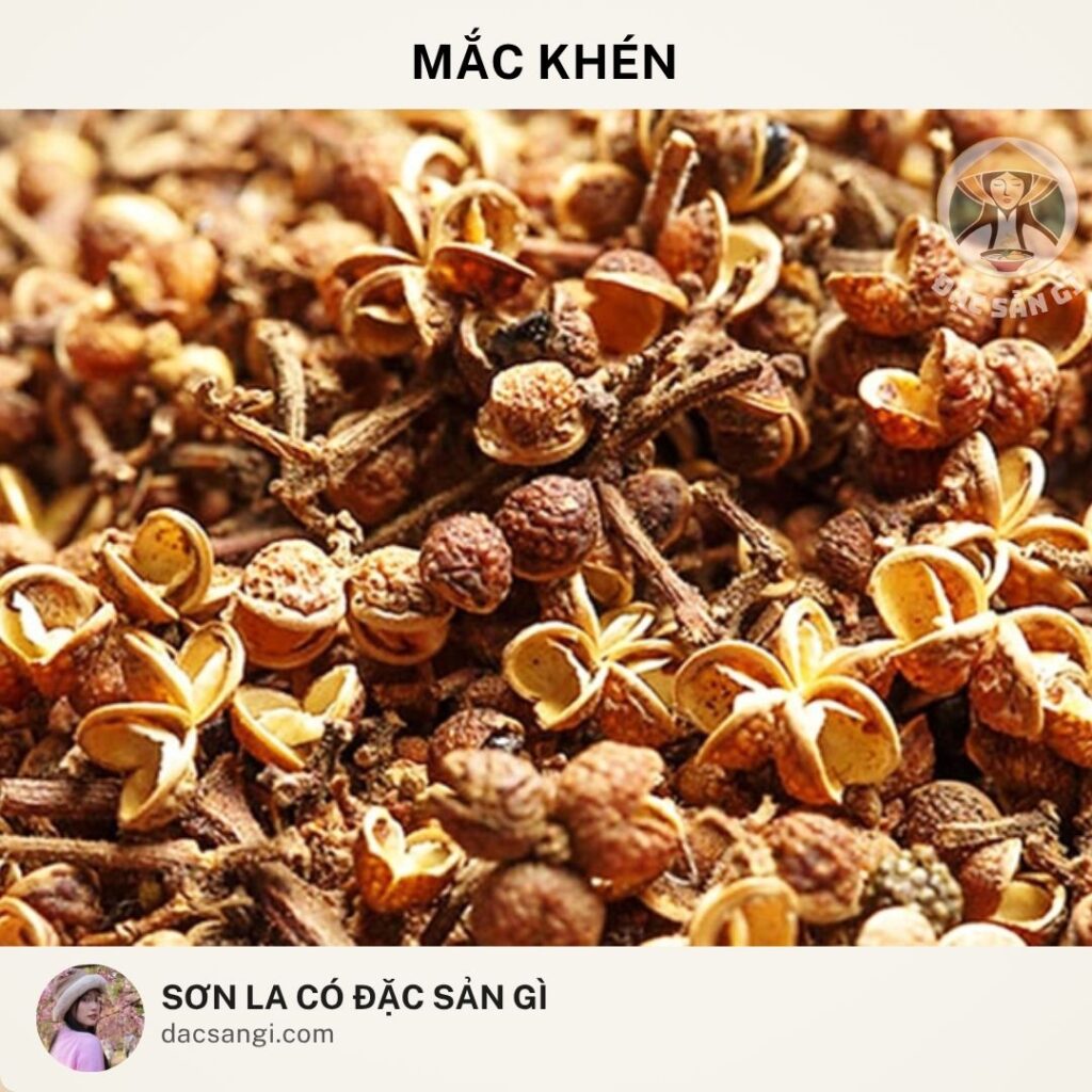 Sơn La có đặc sản gì? Top 23 đặc sản Sơn La ngon nức tiếng nên mua làm quà dac-san-mac-khen-son-la