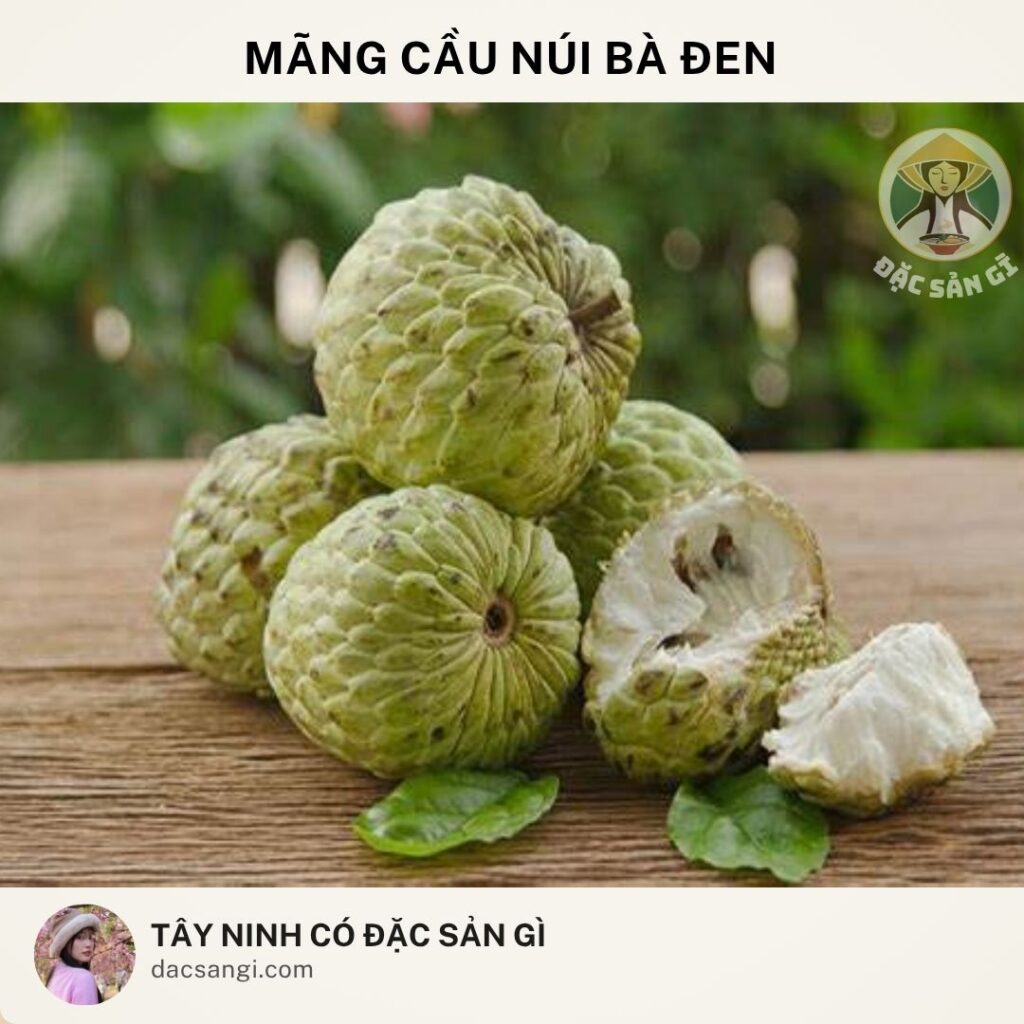 Đặc sản mãng cầu núi Bà Đen