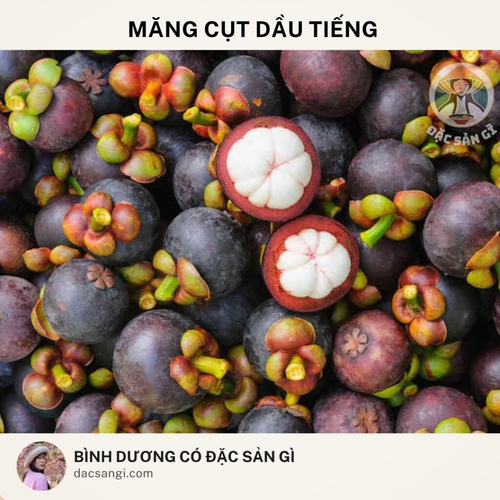 Đặc sản măng cụt Dầu Tiếng