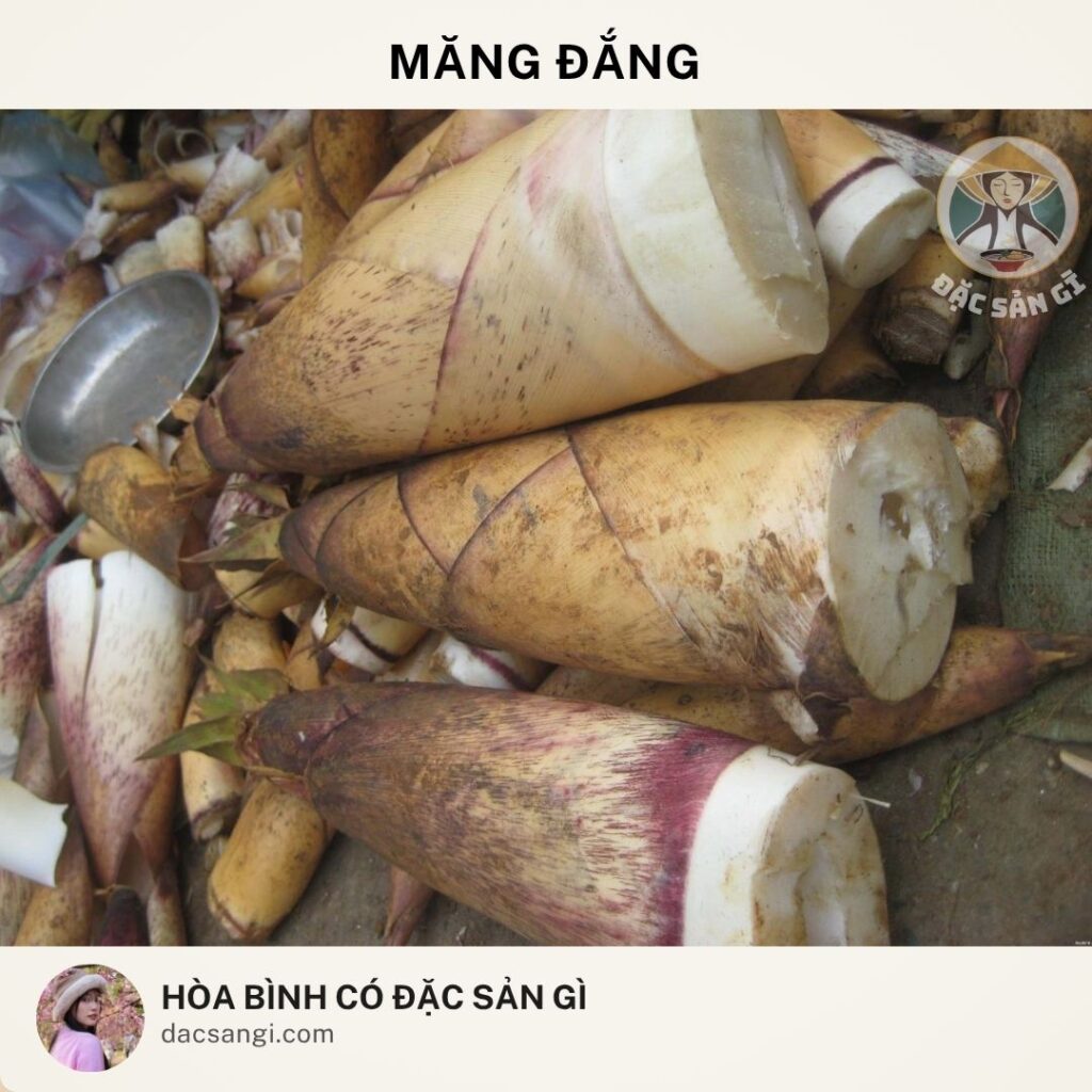dac-san-mang-dang-hoa-binh