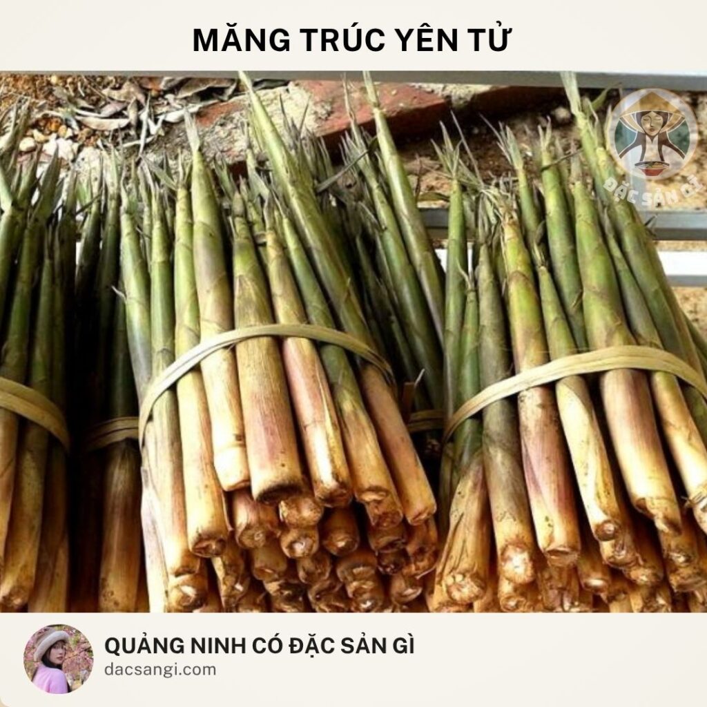 Quảng Ninh có đặc sản gì? 19 đặc sản Quảng Ninh ngon bổ rẻ đáng mua nhất Đặc sản măng trúc Yên Tử