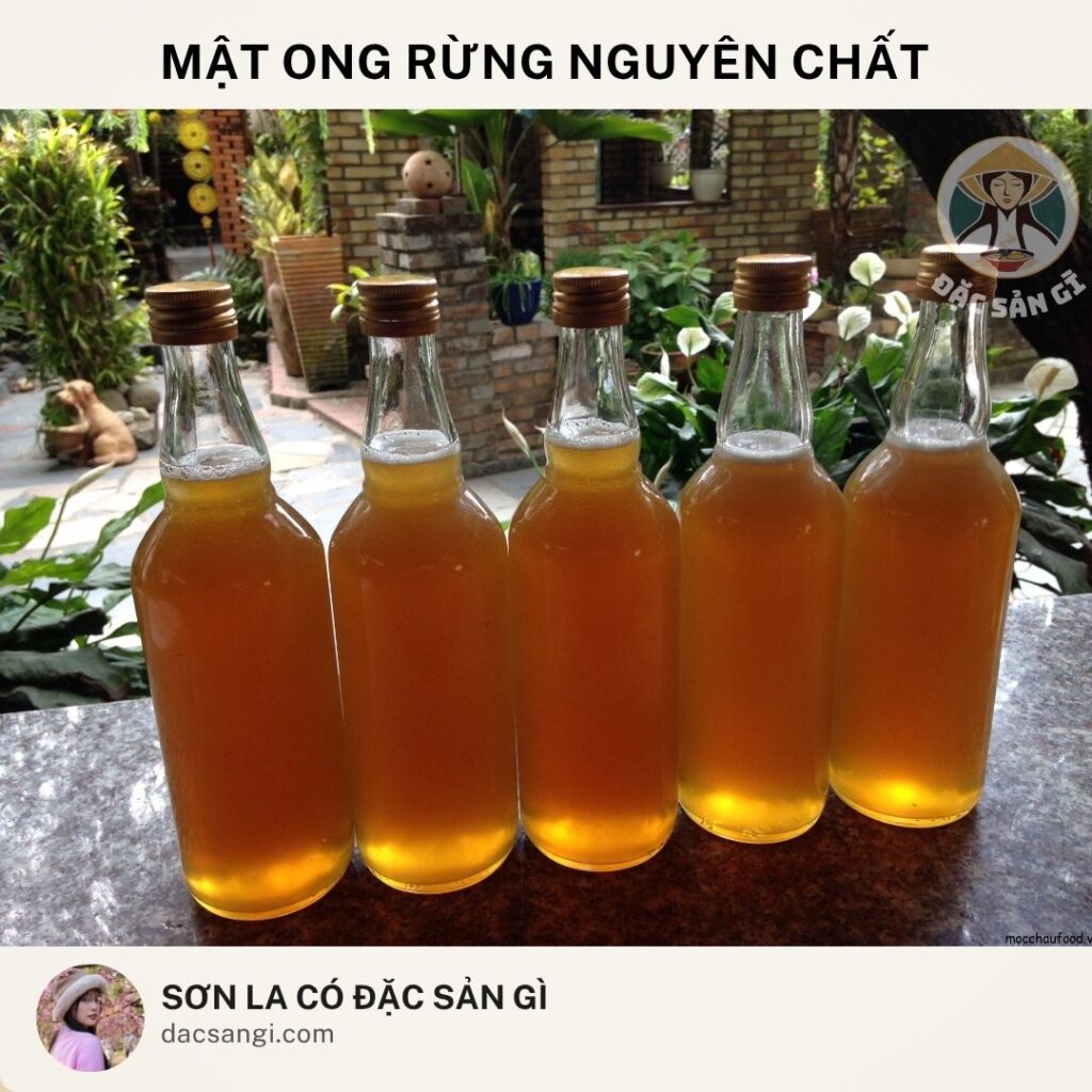 Sơn La có đặc sản gì? Top 23 đặc sản Sơn La ngon nức tiếng nên mua làm quà dac-san-mat-ong-rung-nguyen-chat-son-la
