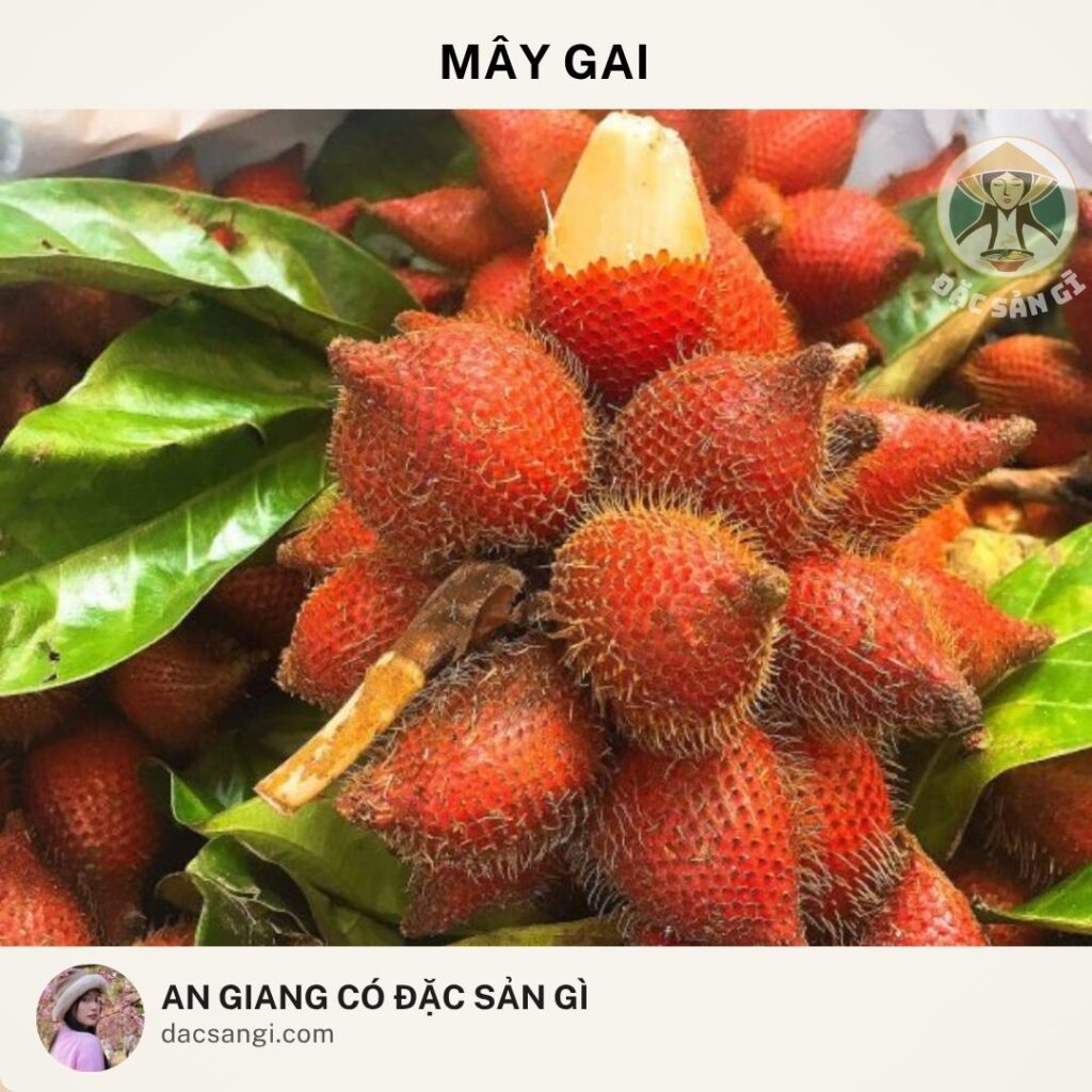 Đặc sản Mây gai An Giang