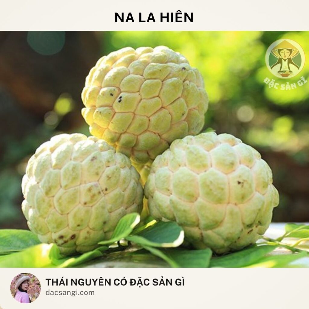 Thái Nguyên có đặc sản gì? Tham khảo 22 đặc sản Thái Nguyên nên mua làm quà Đặc sản na La Hiên Thái Nguyên