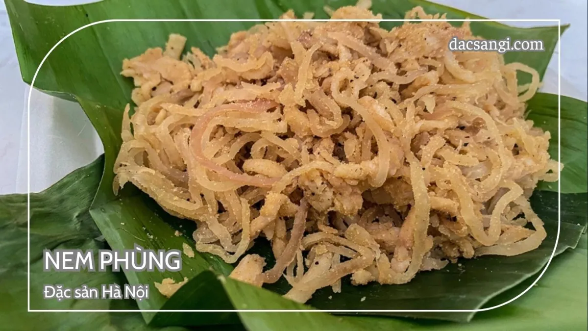 Hà Nội có đặc sản gì? Top 15 đặc sản Hà Nội mua làm quà ý nghĩa Đặc sản nem Phùng Hà Nội