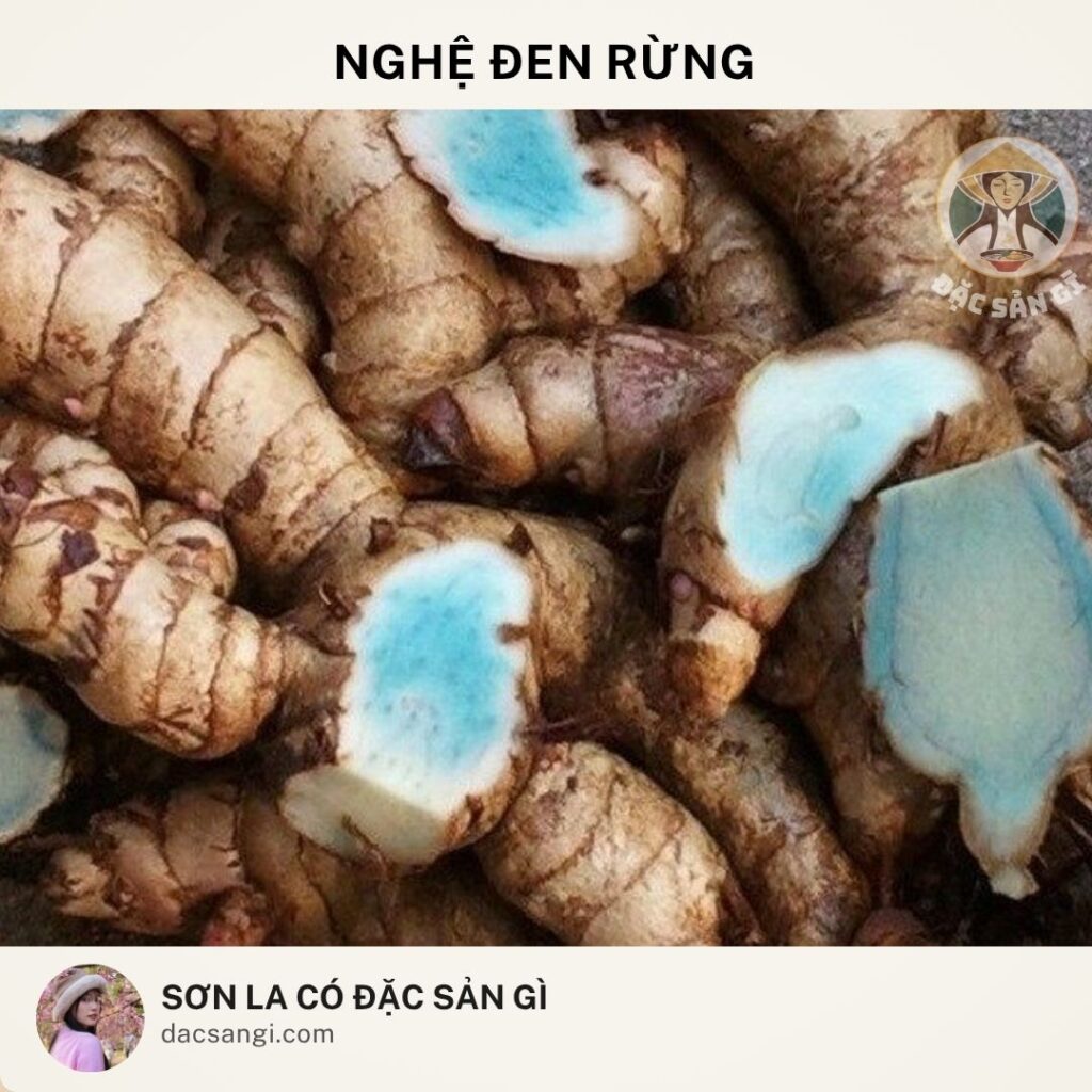 Sơn La có đặc sản gì? Top 23 đặc sản Sơn La ngon nức tiếng nên mua làm quà dac-san-nghe-den-rung-son-la