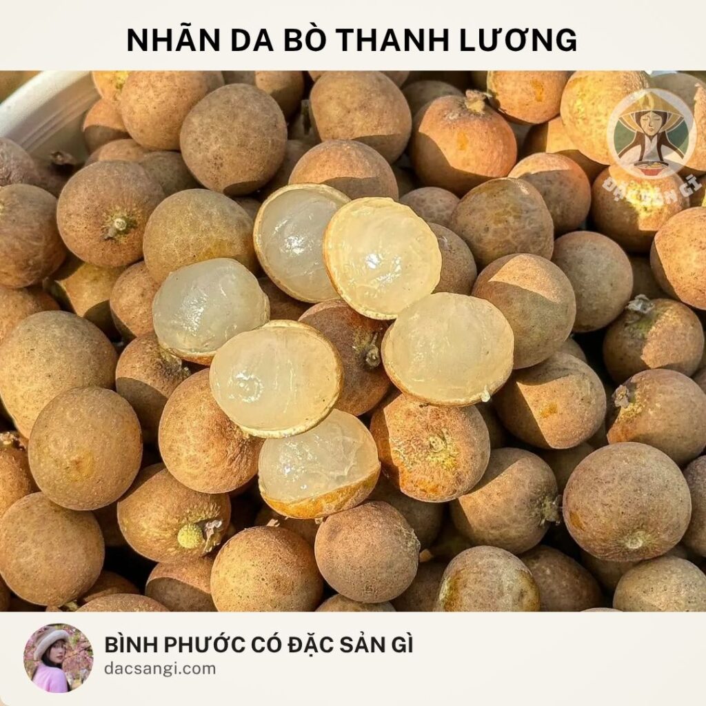 Đặc sản nhãn da bò Thanh Lương
