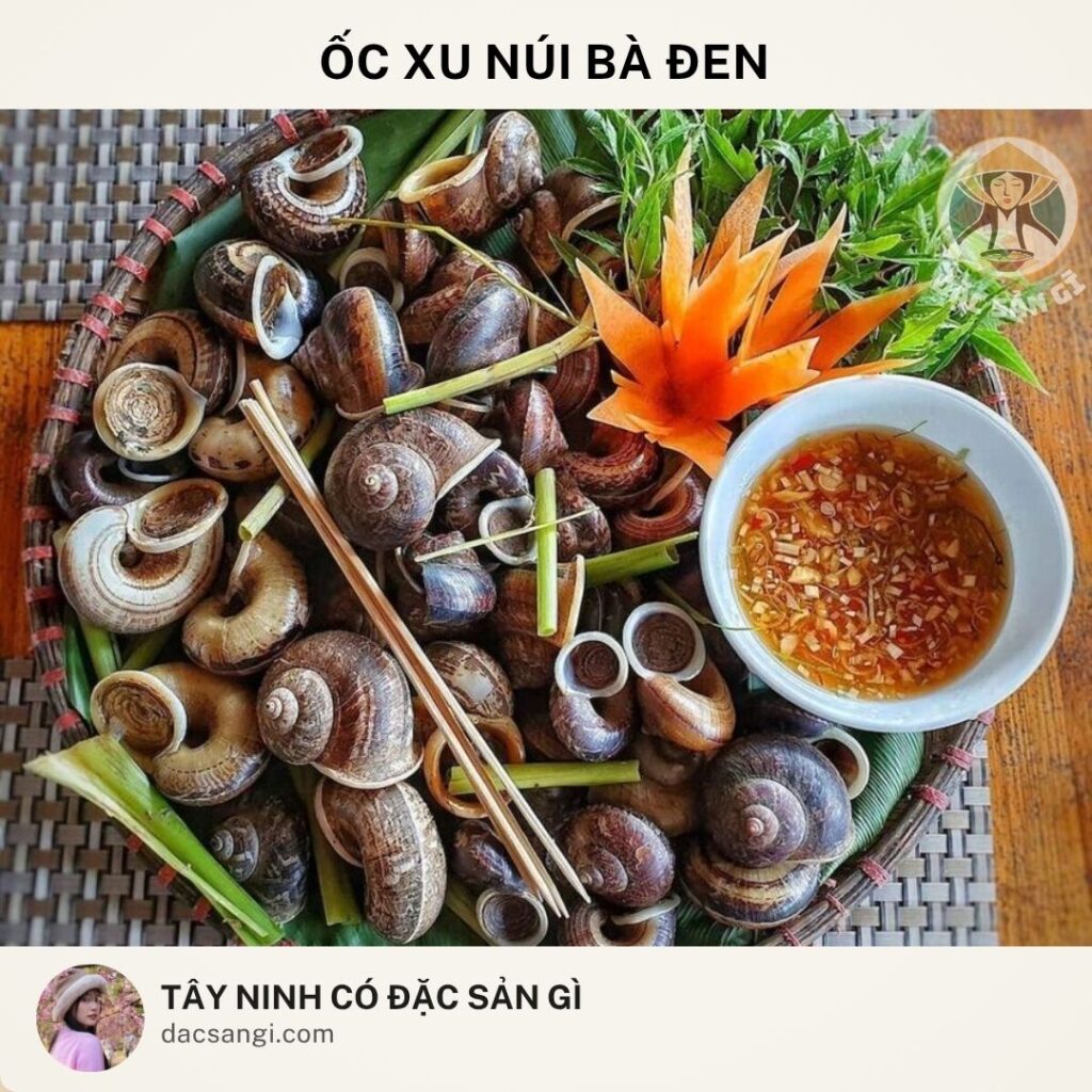 Đặc sản ốc xu núi Bà Đen