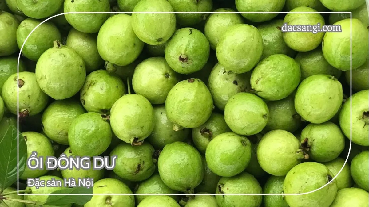 Hà Nội có đặc sản gì? Top 15 đặc sản Hà Nội mua làm quà ý nghĩa Đặc sản ổi Đông Dư