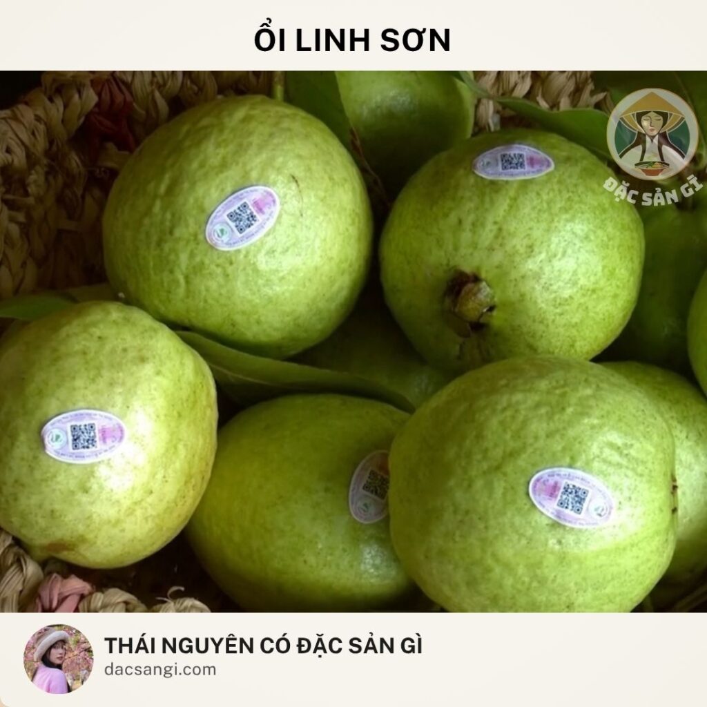 Thái Nguyên có đặc sản gì? Tham khảo 22 đặc sản Thái Nguyên nên mua làm quà Đặc sản ổi Linh Sơn Thái Nguyên