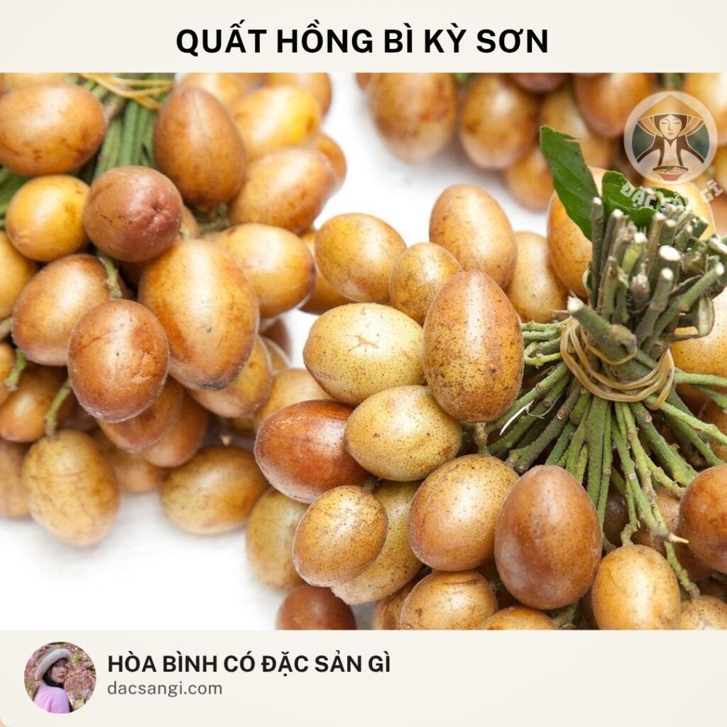 dac-san-quat-hong-bi-ky-son