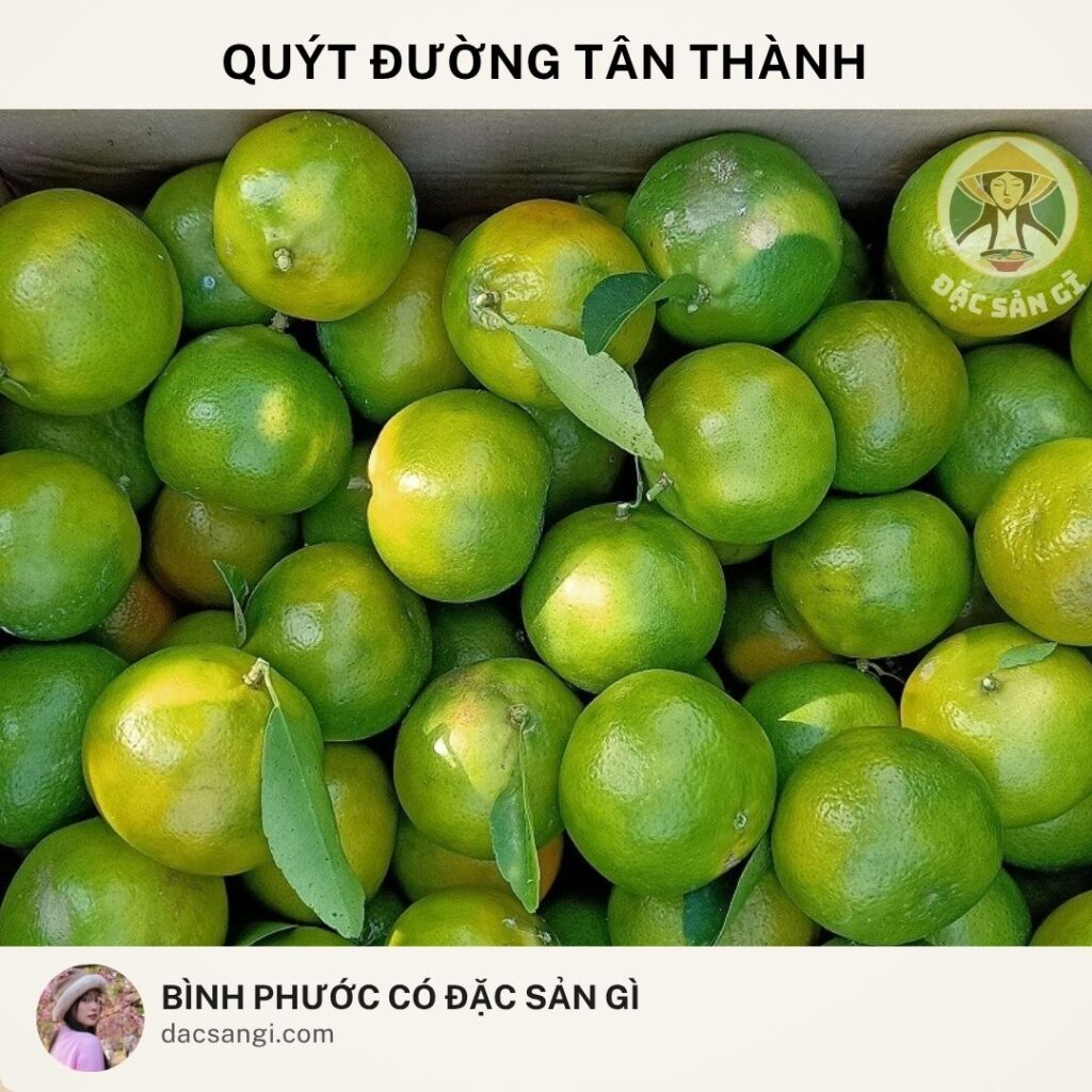 Đặc sản quýt đường Tân Thành