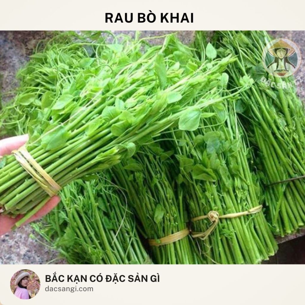 dac-san-rau-bo-khai-bac-kan