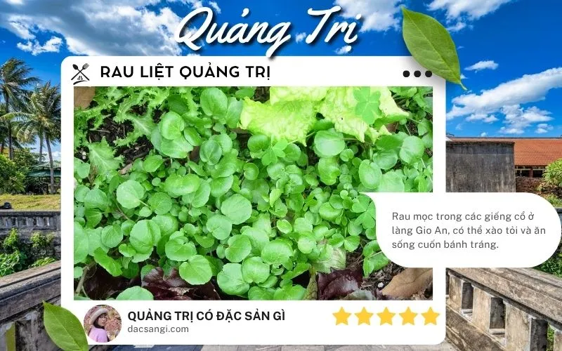 Quảng Trị có đặc sản gì? Gợi ý 18 đặc sản Quảng Trị nên thử và mua về làm quà Đặc sản Rau liệt Quảng Trị