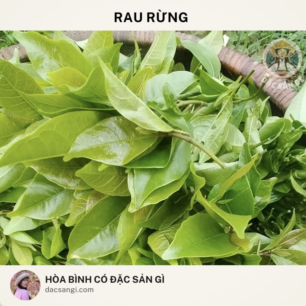 dac-san-rau-rung-hoa-binh