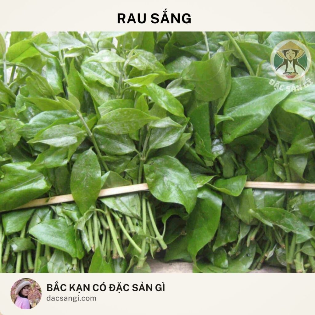 dac-san-rau-sang-bac-kan