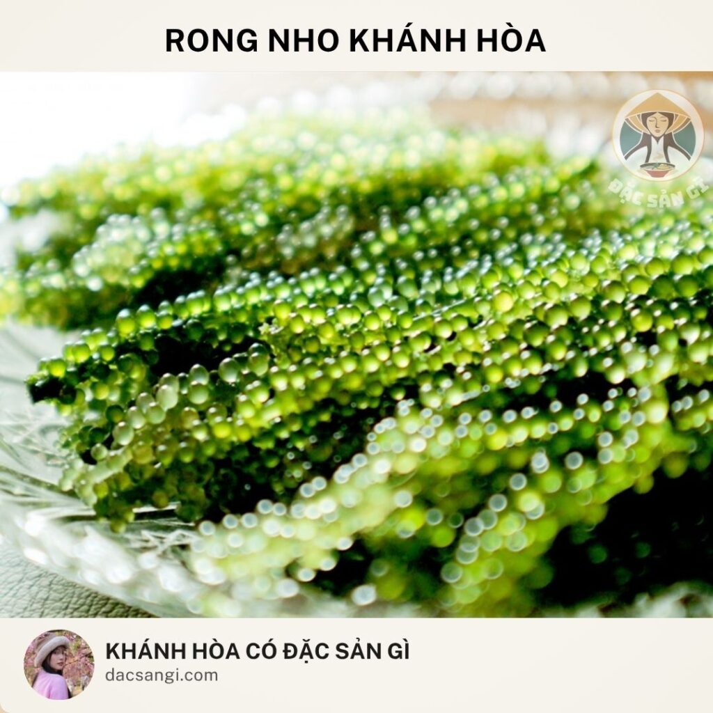 Khánh Hòa có đặc sản gì? Top 24 đặc sản Khánh Hòa ngon được lòng du khách dac-san-rong-nho-khanh-hoa