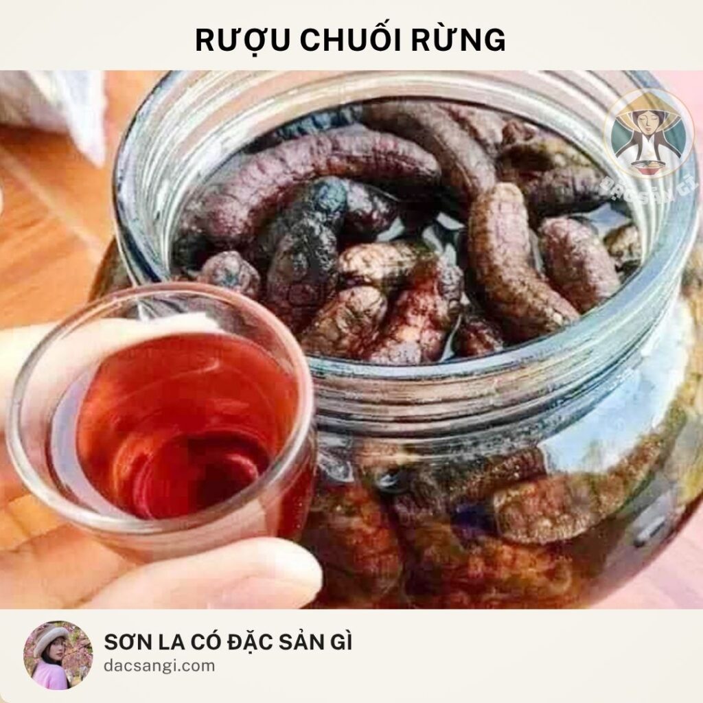 Sơn La có đặc sản gì? Top 23 đặc sản Sơn La ngon nức tiếng nên mua làm quà dac-san-ruou-chuoi-rung-son-la