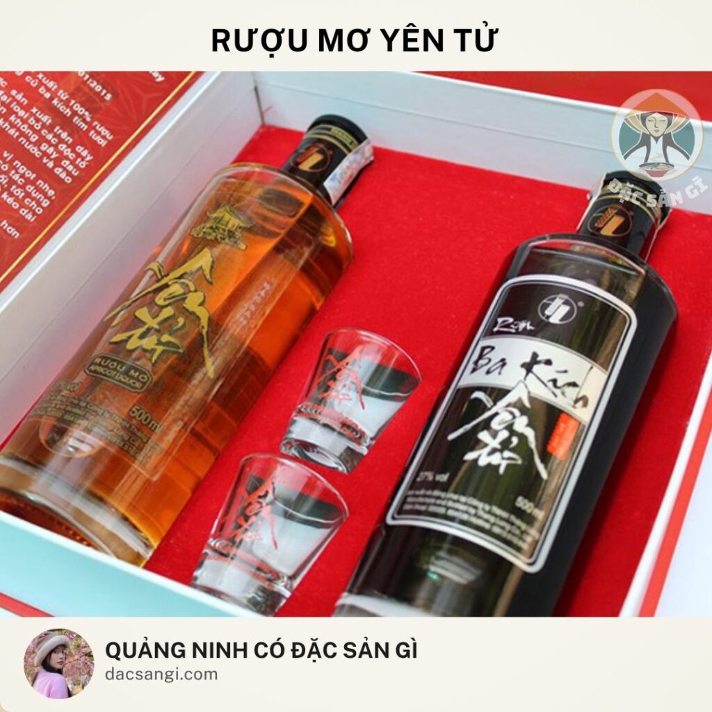 Quảng Ninh có đặc sản gì? 19 đặc sản Quảng Ninh ngon bổ rẻ đáng mua nhất Đặc sản rượu mơ Yên Tử