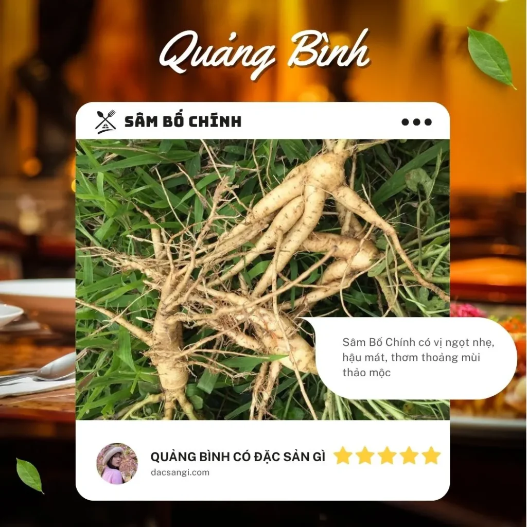 Quảng Bình có đặc sản gì? Tổng hợp 20 đặc sản Quảng Bình ngon, ăn tại chỗ hay làm quà đều tuyệt Đặc sản sâm Bố Chính