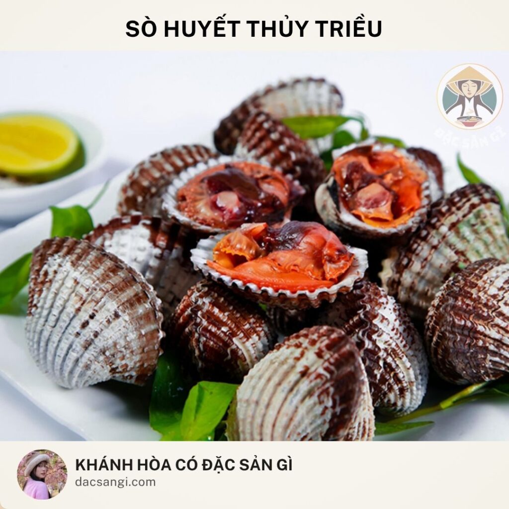 Khánh Hòa có đặc sản gì? Top 24 đặc sản Khánh Hòa ngon được lòng du khách dac-san-so-huyet-thuy-trieu