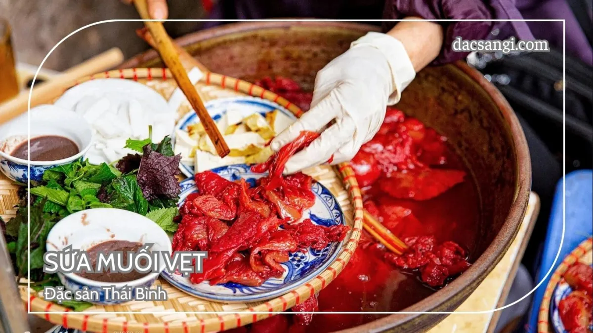 Thái Bình có đặc sản gì? Top 19 đặc sản Thái Bình nên thử và mua về làm quà Đặc sản sứa muối vẹt Thái Bình