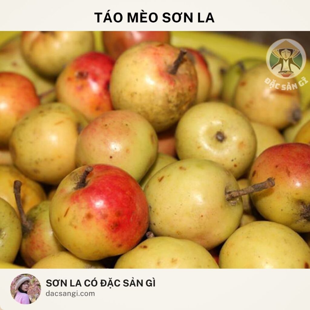 Sơn La có đặc sản gì? Top 23 đặc sản Sơn La ngon nức tiếng nên mua làm quà dac-san-tao-meo-son-la