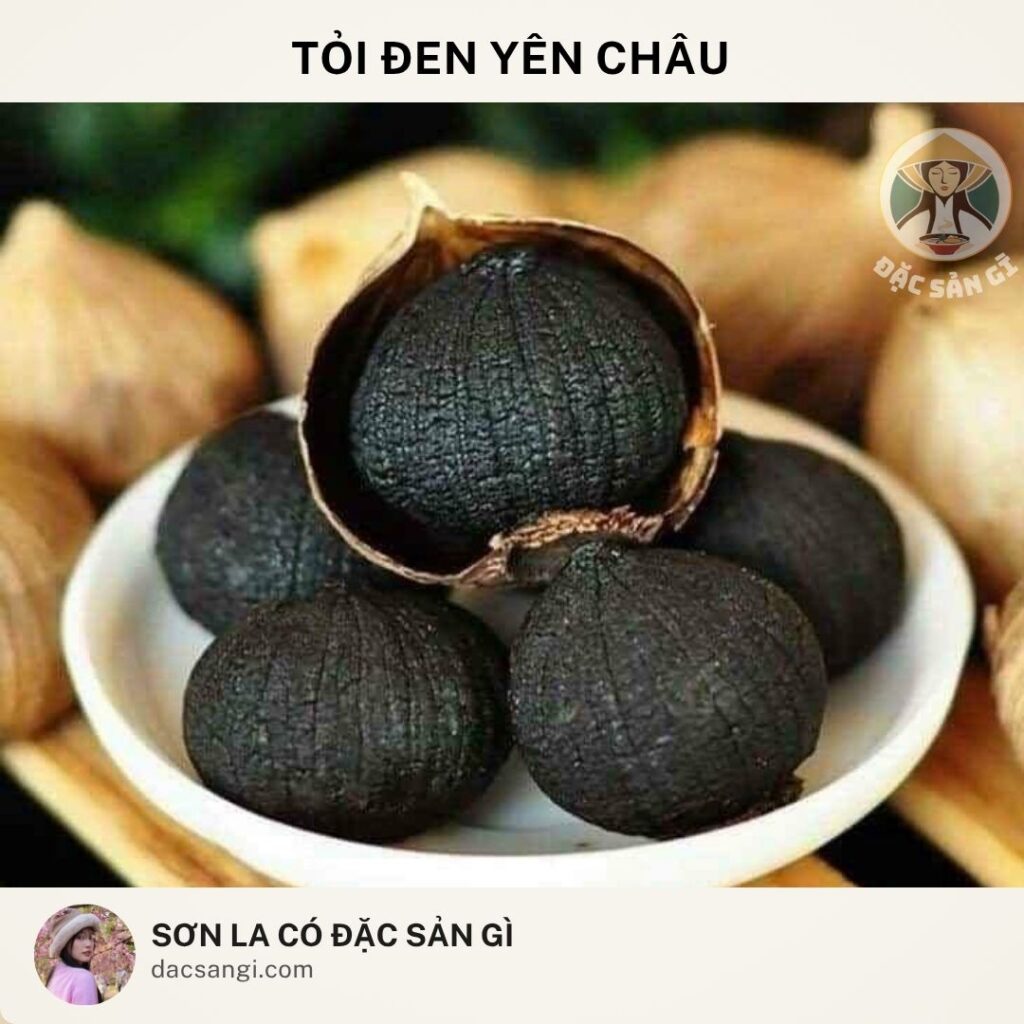 Sơn La có đặc sản gì? Top 23 đặc sản Sơn La ngon nức tiếng nên mua làm quà dac-san-toi-den-yen-chau