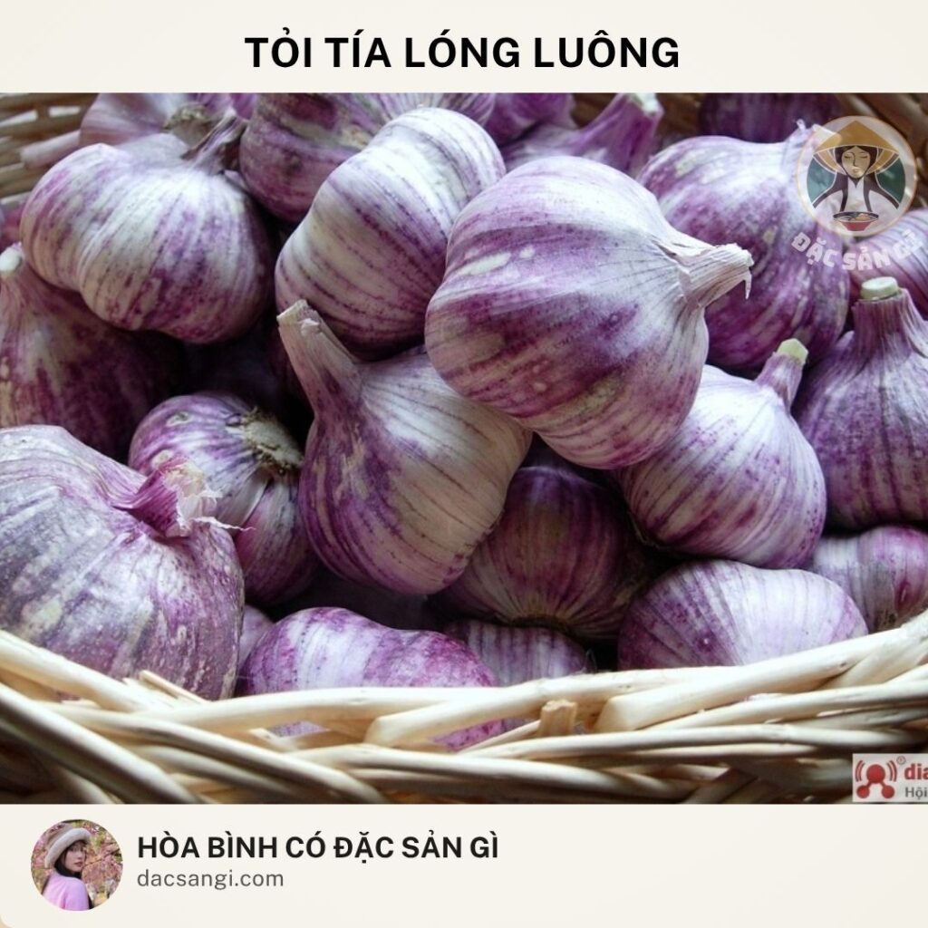 dac-san-toi-tia-long-luong