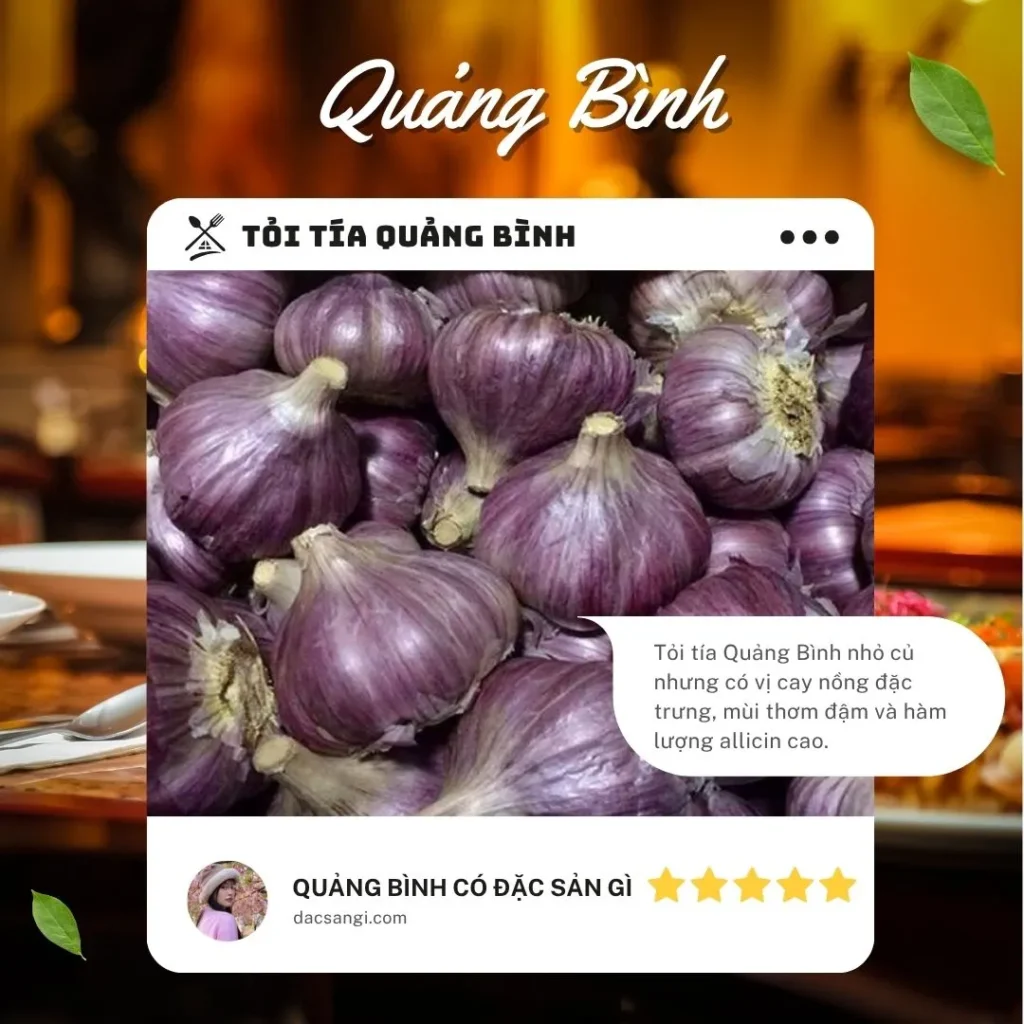 Quảng Bình có đặc sản gì? Tổng hợp 20 đặc sản Quảng Bình ngon, ăn tại chỗ hay làm quà đều tuyệt Đặc sản tỏi tía Quảng Bình
