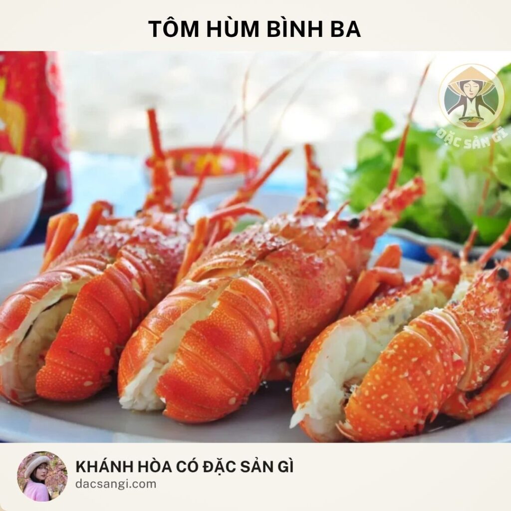 Khánh Hòa có đặc sản gì? Top 24 đặc sản Khánh Hòa ngon được lòng du khách dac-san-tom-hum-binh-ba