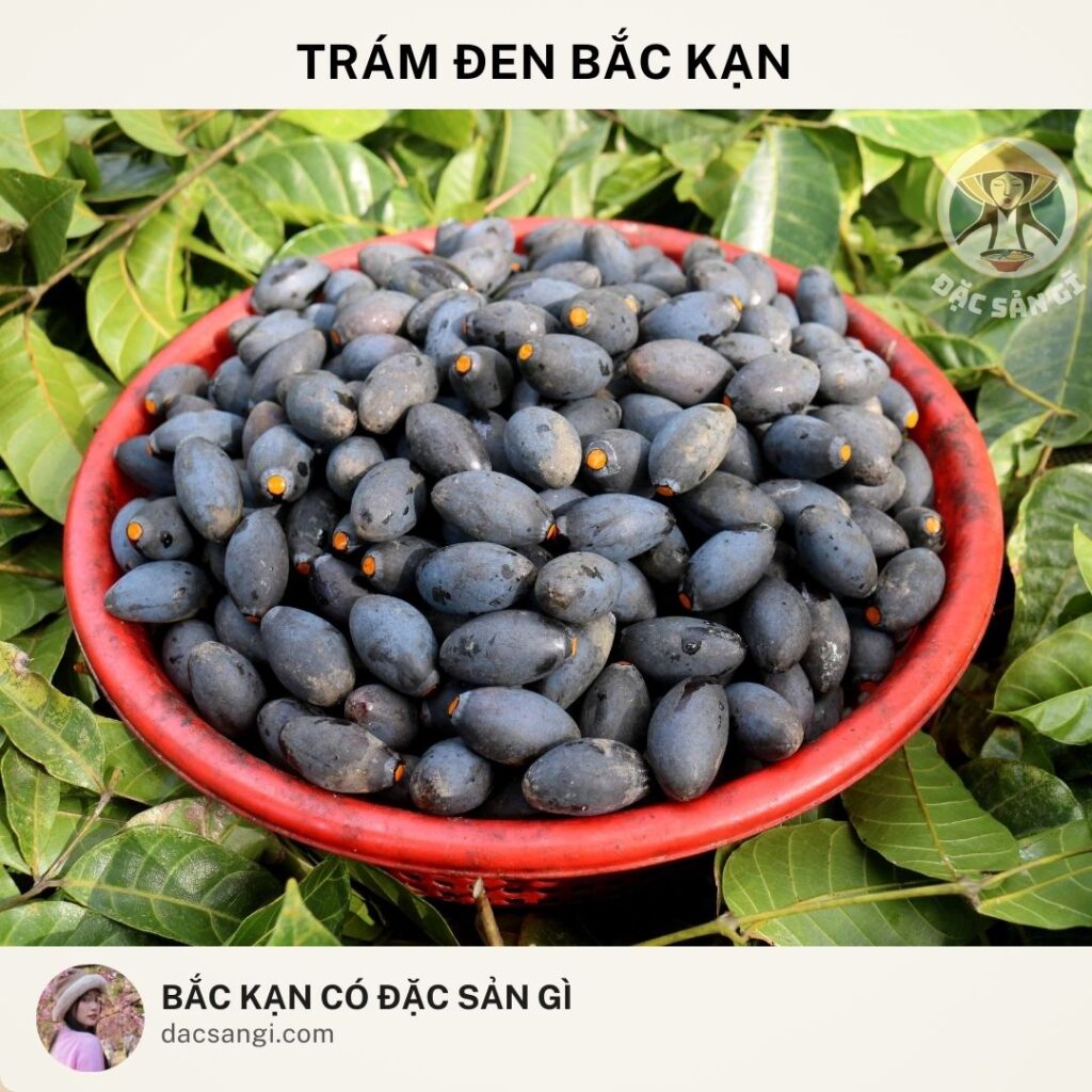 dac-san-tram-den-bac-kan