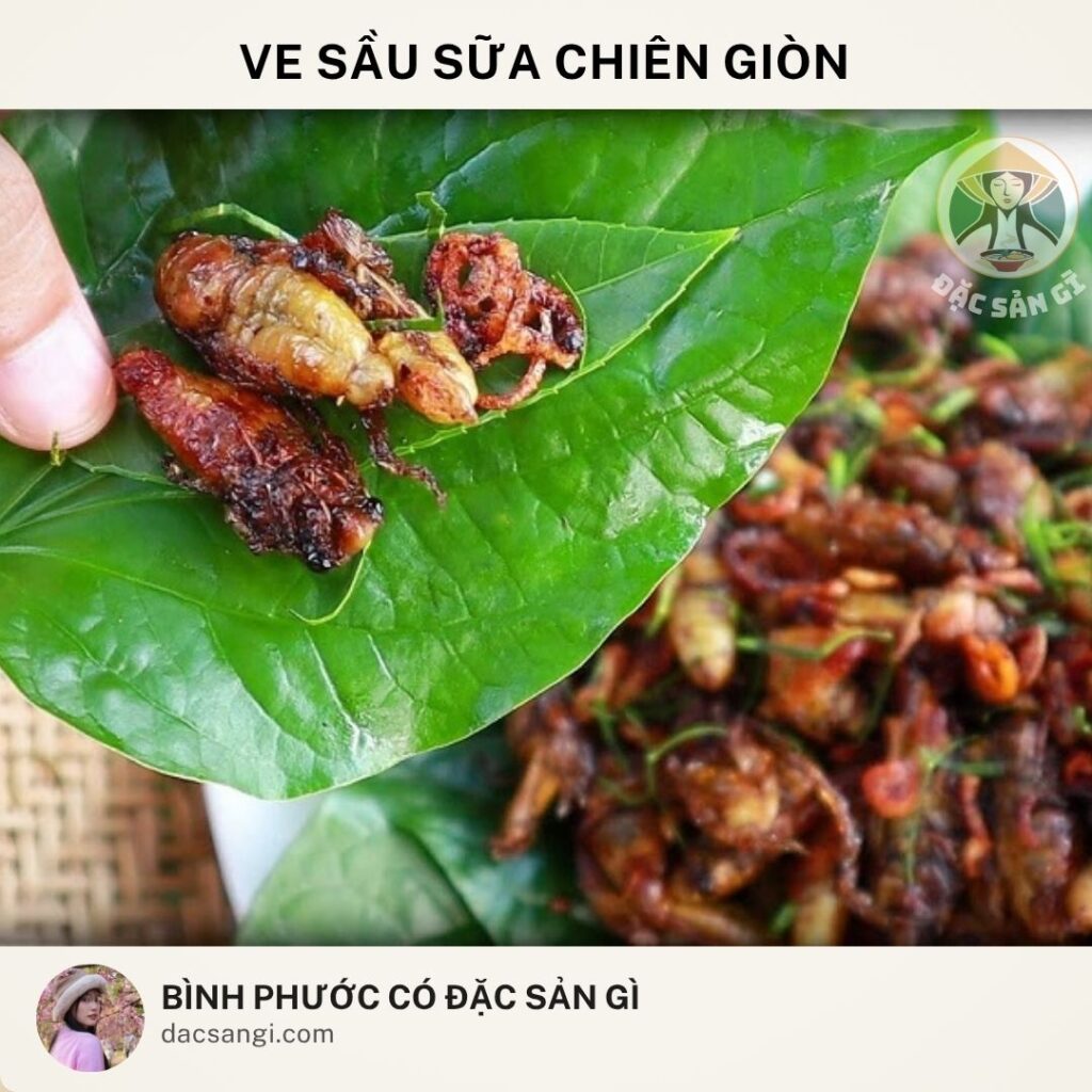 Đặc sản ve sầu sữa chiên giòn Bình Phước