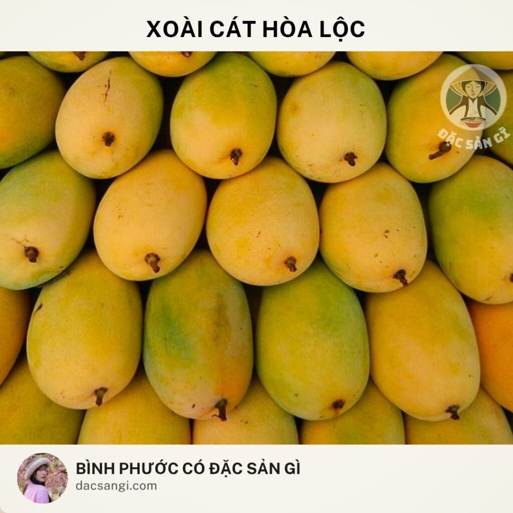 Đặc sản xoài cát Hòa Lộc